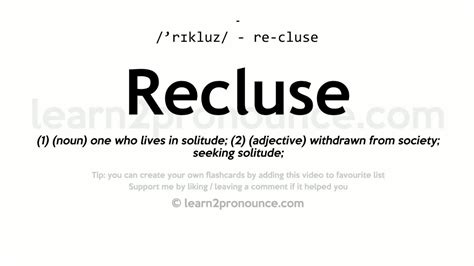 recluse definition legal.